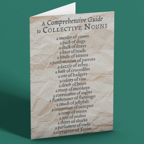 A Comprehensive Guide to Collective Nouns Greetings Card