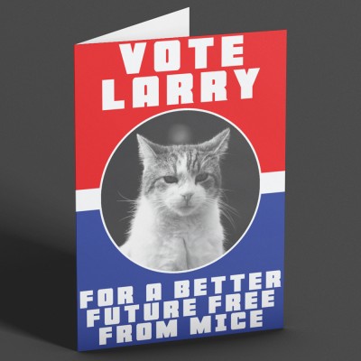 Vote Larry Greetings Card