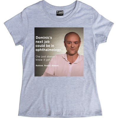 Dominic's Next Job
