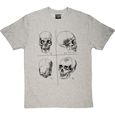 Four Studies of a Human Skull