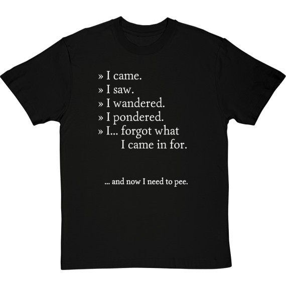 I Came. I Saw. I Forgot. T-Shirt