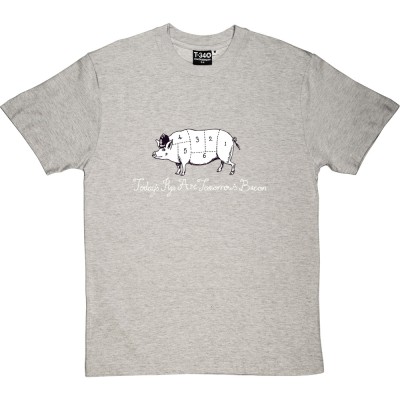 Today's Pigs Are Tomorrow's Bacon