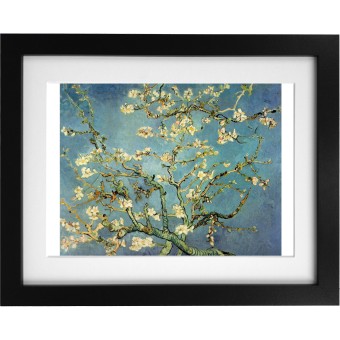 Van Gogh "Almond Tree in Blossom" Art Print