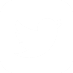 RedMolotov's Twitter Feed